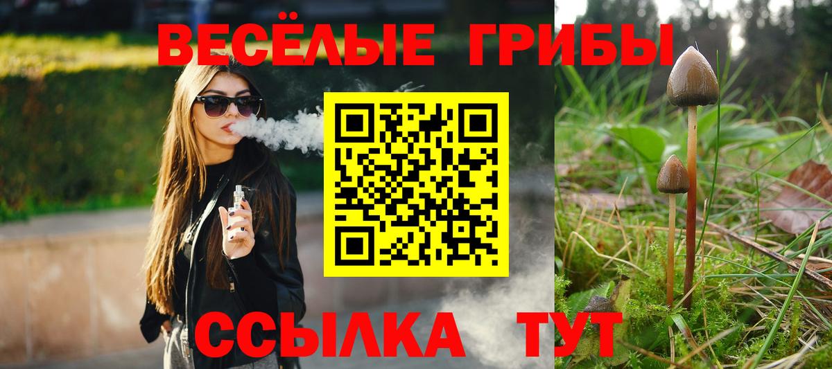 Псилоцибиновые грибы MAGIC MUSHROOMS Реж