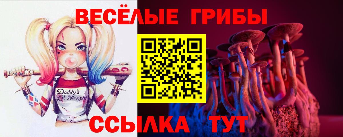 Галлюциногенные грибы ЛСД  Вход с VPN  Псилоцибиновые грибы мухоморы  Реж 